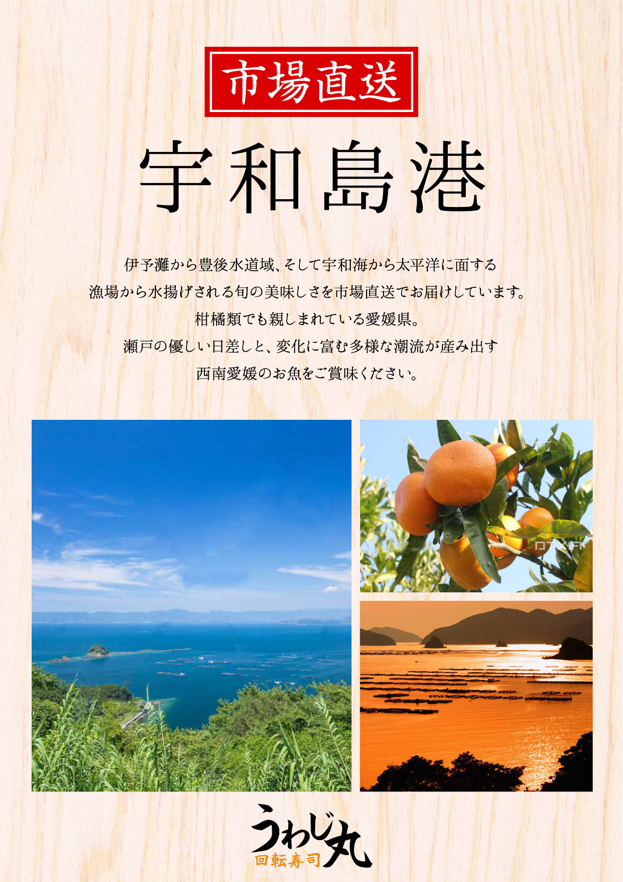 市場直送 宇和島港
