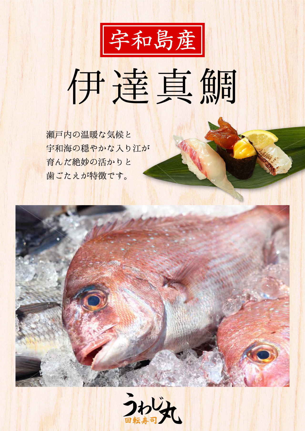 市場直送 伊達真鯛