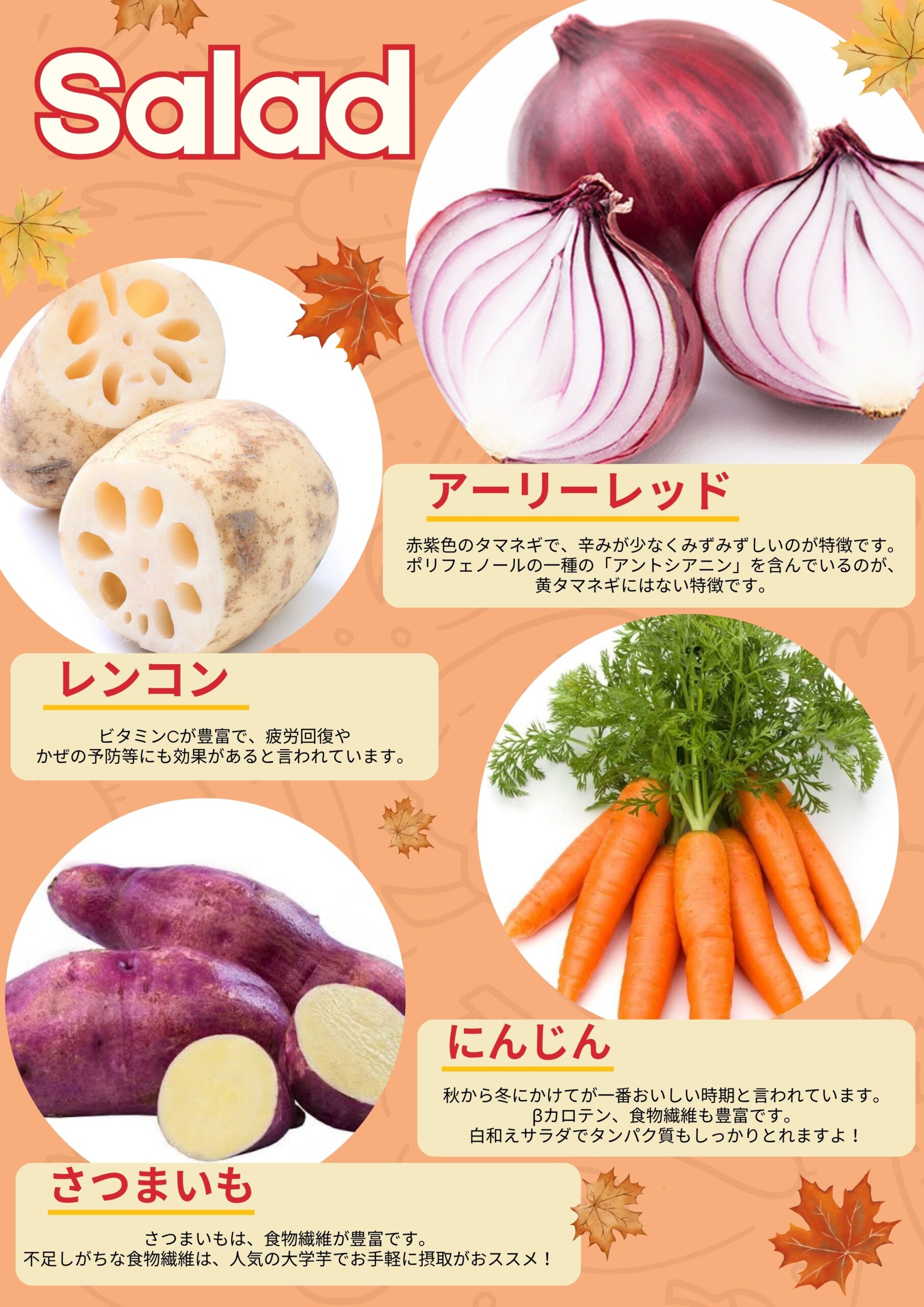 【ザめしや　上甲子園店、住之江店限定】　サラダバー販売中！！