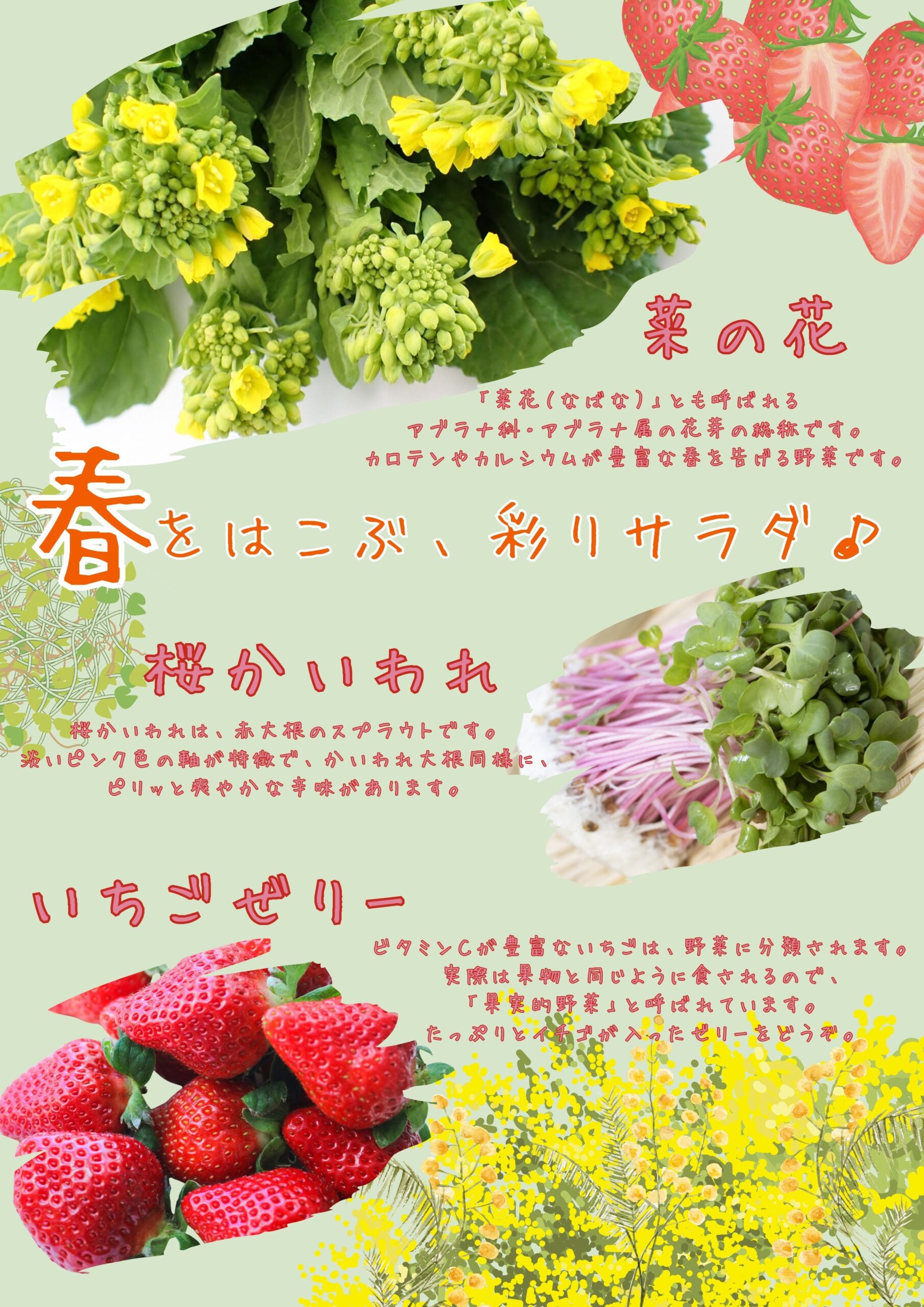 【ザめしや　上甲子園店、住之江店限定】　サラダバー販売中！！