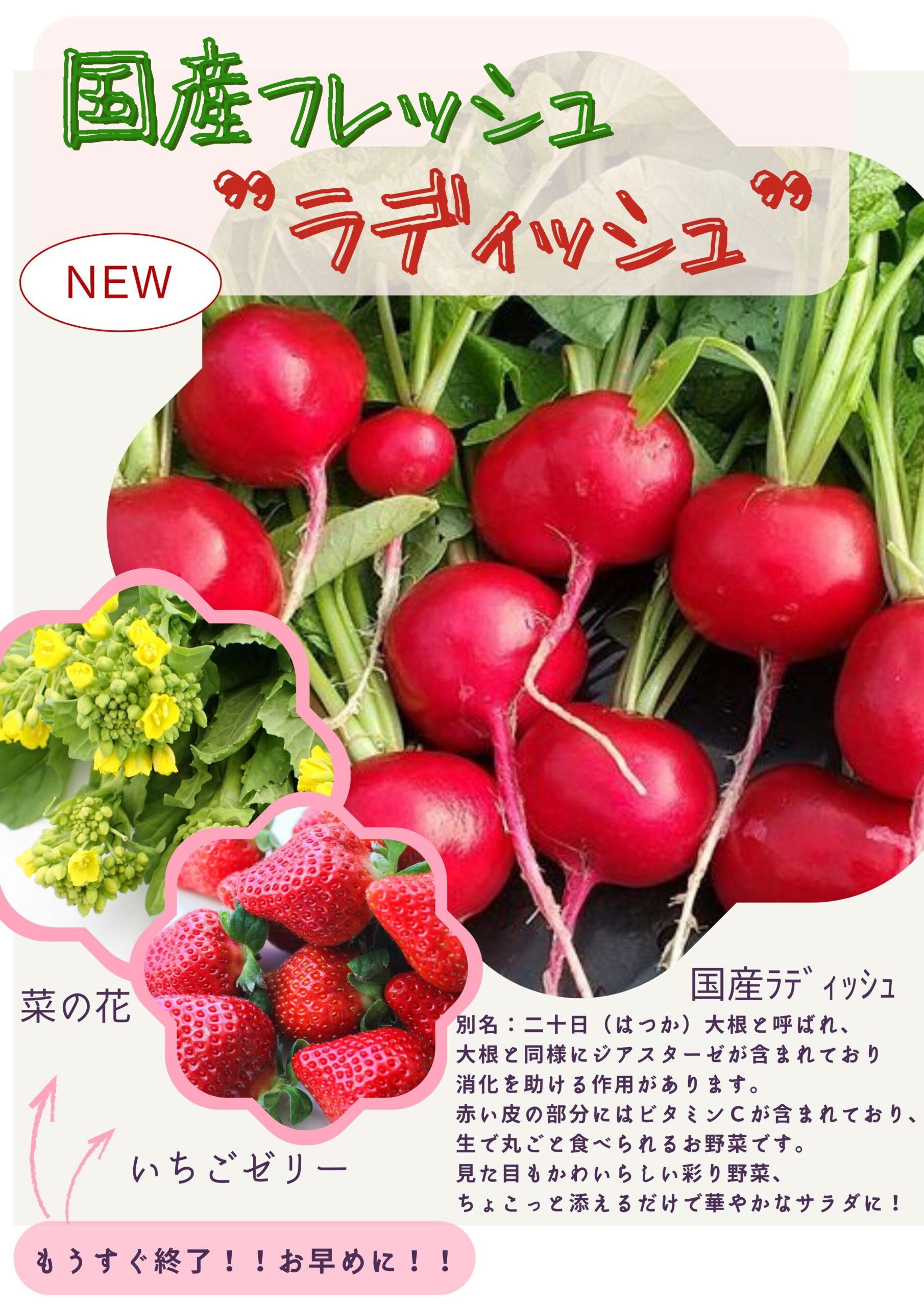【ザめしや　上甲子園店、住之江店限定】　サラダバー販売中！！