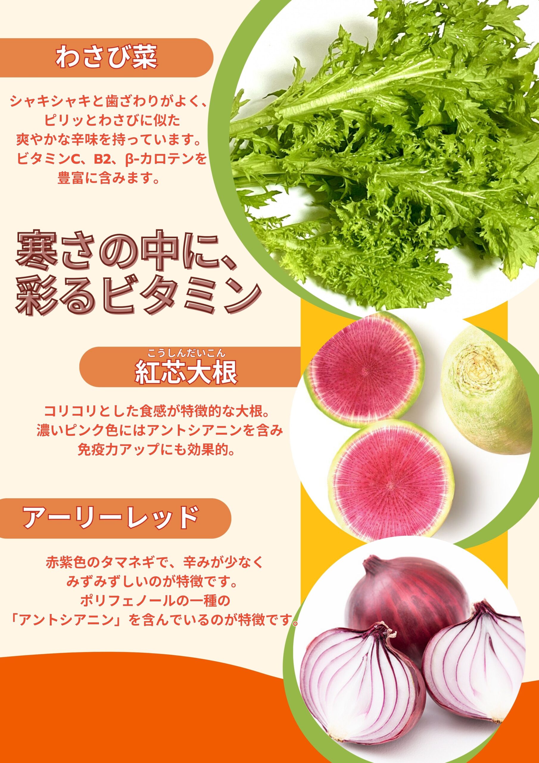 【ザめしや 上甲子園店、住之江店限定】 サラダバー販売中!!