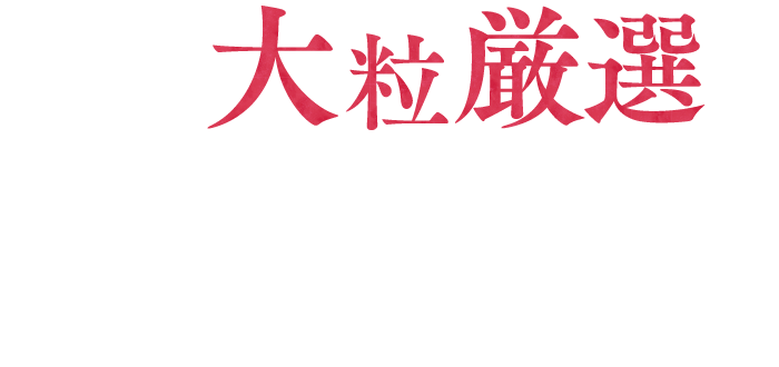 ザめしや｜豆ごはん(味噌汁なし)
