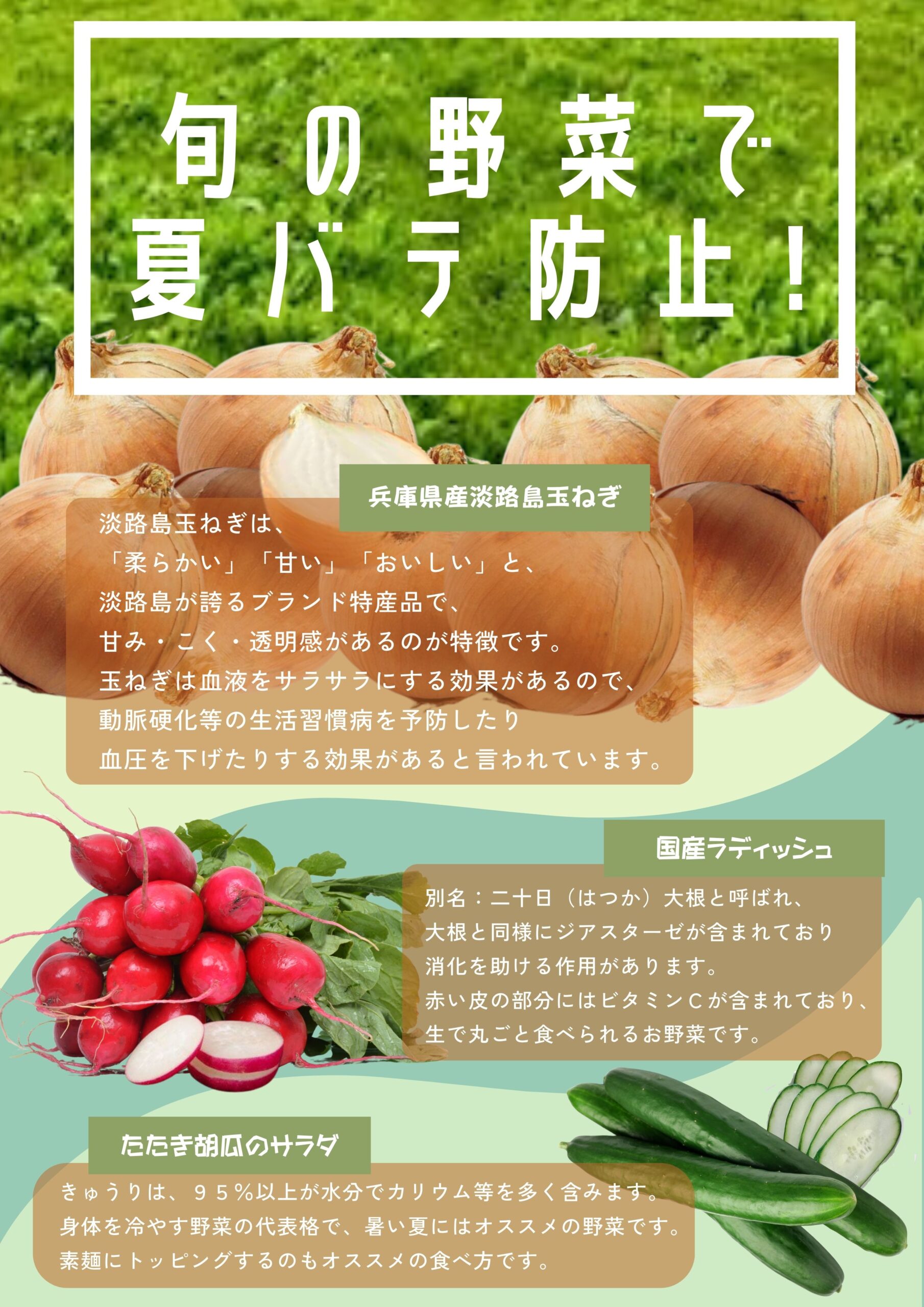 【ザめしや　上甲子園店、住之江店限定】　サラダバー販売中！！
