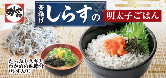 めしや食堂｜しらす